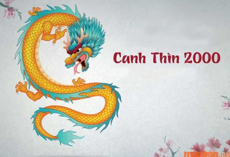 Tổng quan tử vi Canh Thìn